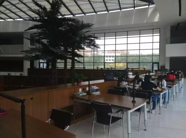 “辽宁高招指南”探秘绿岛,遇见你是我最美丽的意外!