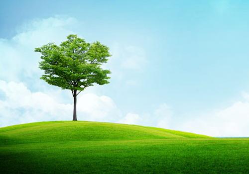 宇文玥救楚乔眼盲,宇文玥对楚乔的影响