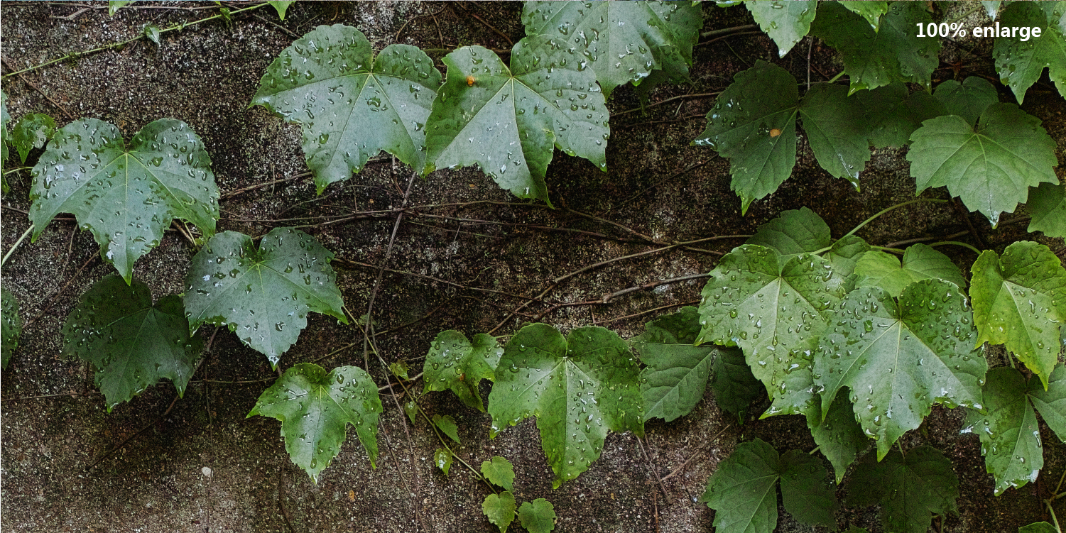 适马sdq与sdqh参数区别,适马sdqh画质怎么样