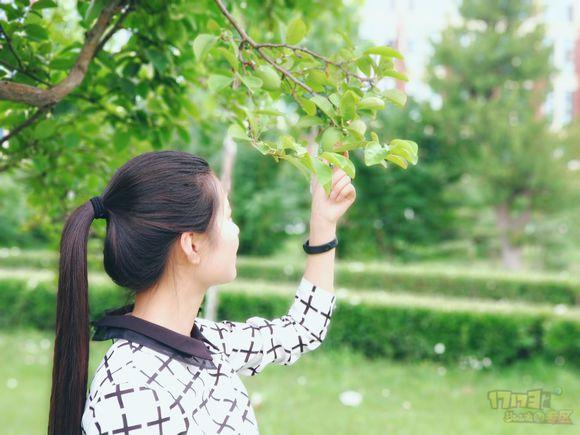 17000买个梦幻西游号,梦幻西游900元能买到什么样的号