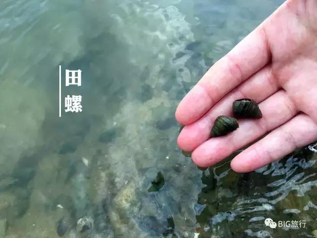 无锡一日游的攻略,无锡太湖一日游攻略周边美食