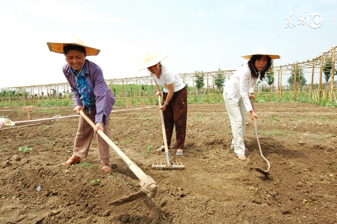 到底什么是有机大米,什么是有机农产品呢