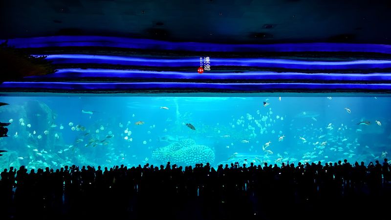 长隆亲子两大两小旅游攻略,珠海长隆横琴湾酒店亲子攻略