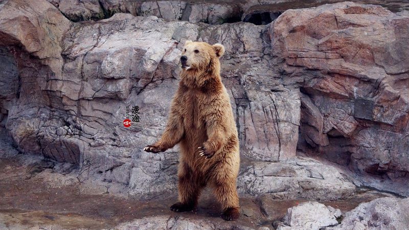 长隆亲子两大两小旅游攻略,珠海长隆横琴湾酒店亲子攻略