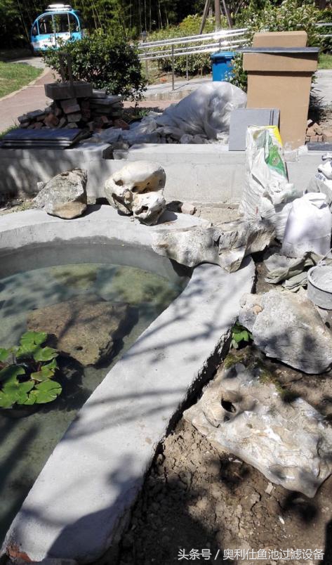 简单实用小庭院鱼池,庭院鱼池改造设计图片