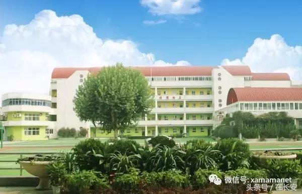西安第一梯队的小学都有哪几所,西安学校排名前十名的小学校