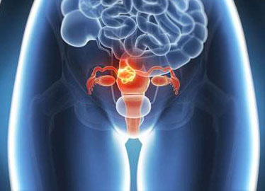 做阴式B超是一种什么经历?腹式B超和阴式B超的区别是什么?