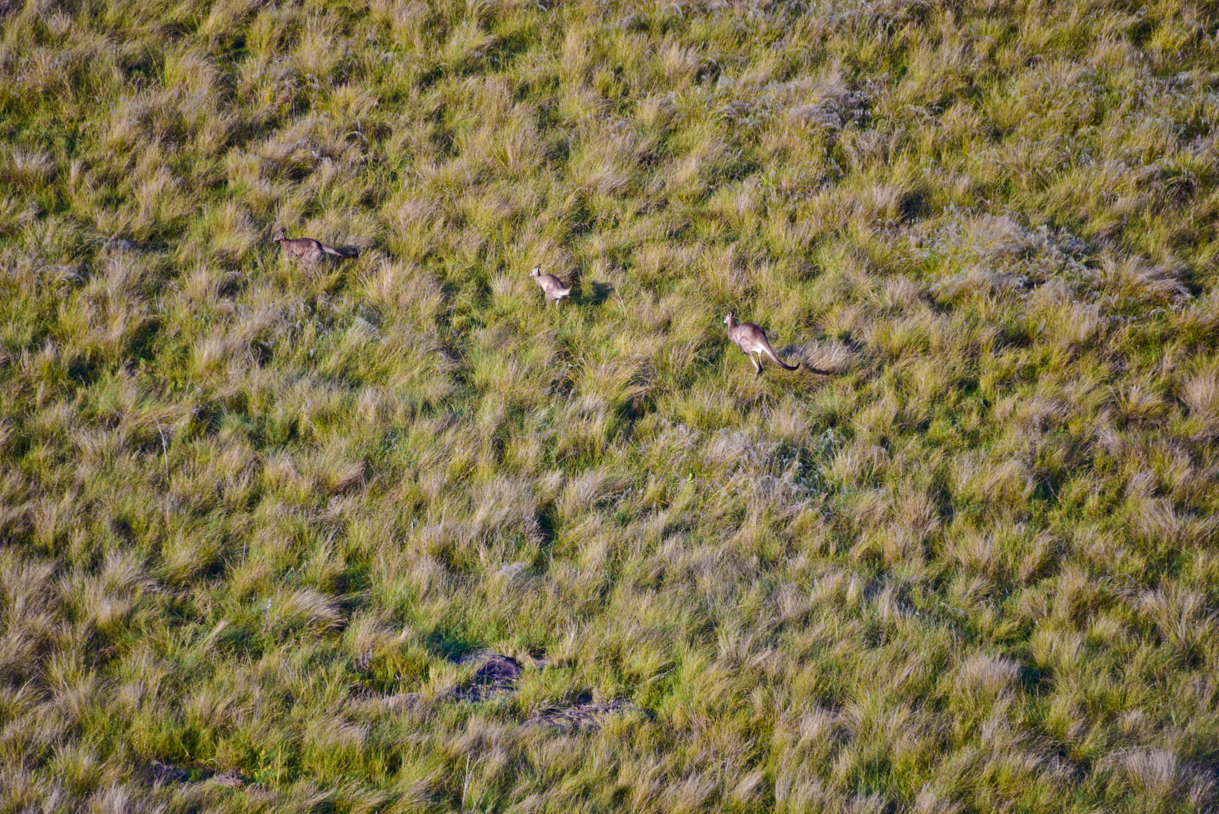 在猎人谷邂逅美酒和热气球