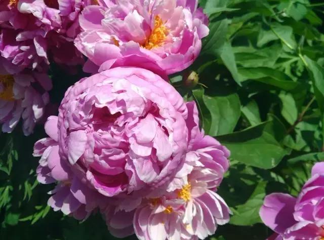 “辽宁高招指南”探秘绿岛,遇见你是我最美丽的意外!