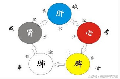 肺气肿如何冬病夏治,肺气肿三伏天可以治吗