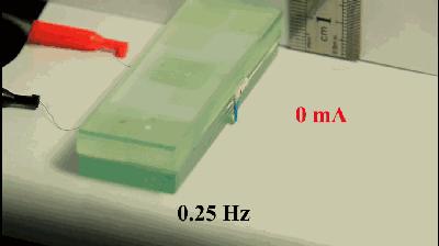 神奇的发电纤维，比头发丝小，比钢强，做成衣服可以发电和治病