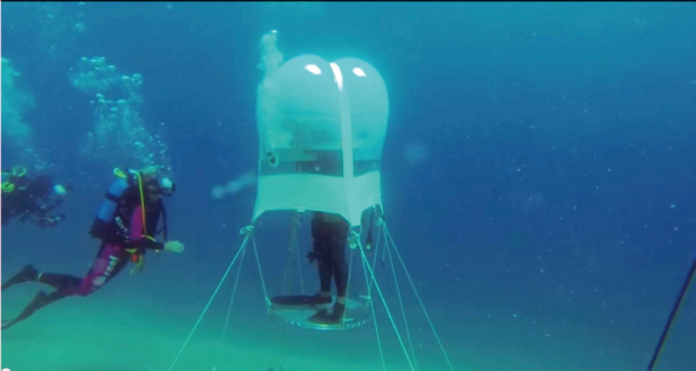 海底真的可以种菜啊！发展农业的空间扩展了有木有？