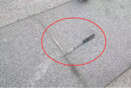 养狗的人遛狗需要注意什么,养狗的朋友在外遛狗请务必牵绳