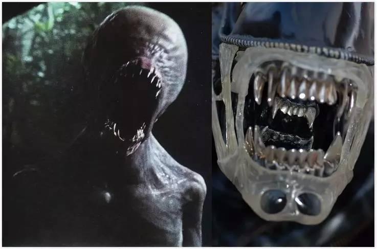 异形契约细思极恐解析,异形契约解析细思极恐