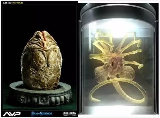 异形契约细思极恐解析,异形契约解析细思极恐