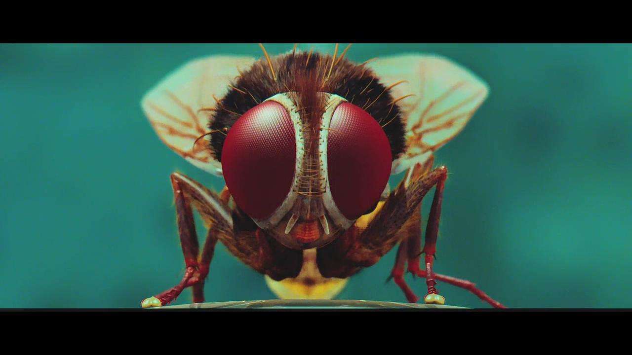 近两年印度电影推荐高分,印度十大评分最高电影