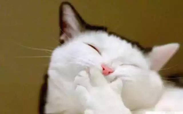 cosme十大排名,2017cosme必买清单