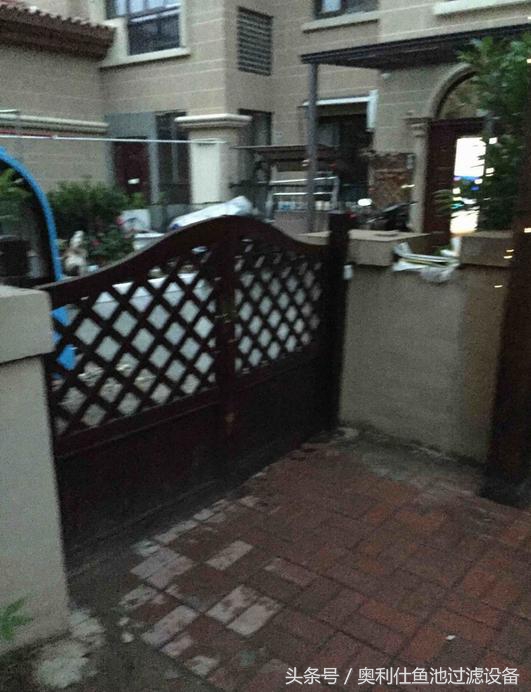 简单实用小庭院鱼池,庭院鱼池改造设计图片