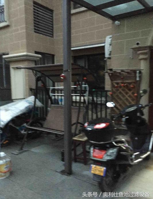 简单实用小庭院鱼池,庭院鱼池改造设计图片