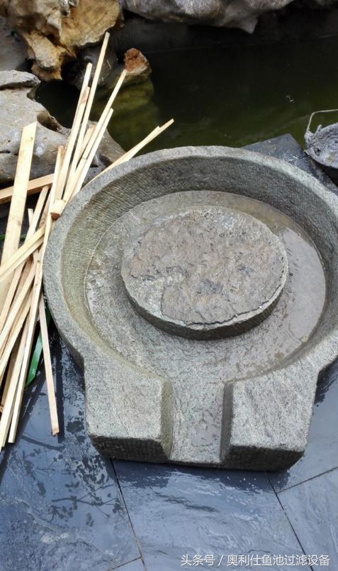 简单实用小庭院鱼池,庭院鱼池改造设计图片