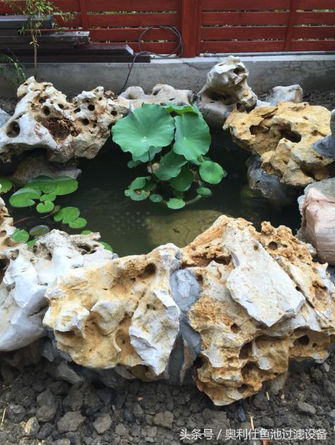 简单实用小庭院鱼池,庭院鱼池改造设计图片