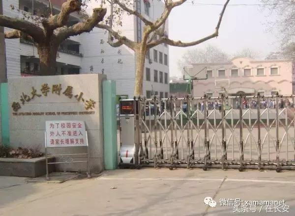 西安第一梯队的小学都有哪几所,西安学校排名前十名的小学校