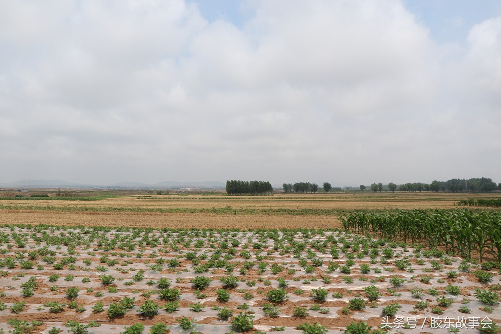 烟台人对青岛的印象,青岛市即墨区的发展