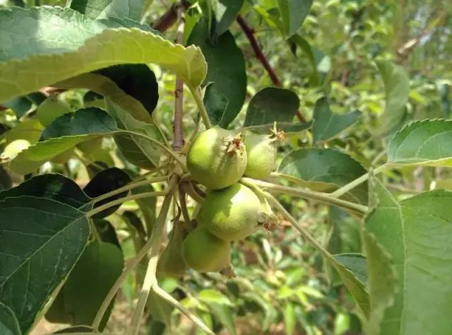 “辽宁高招指南”探秘绿岛,遇见你是我最美丽的意外!