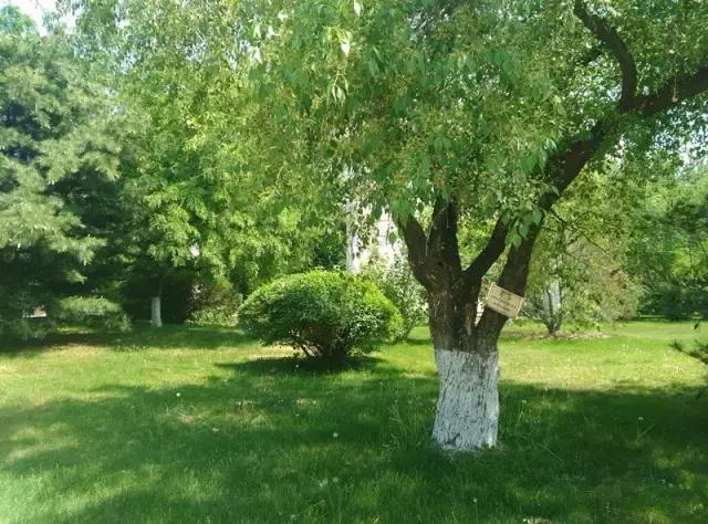 “辽宁高招指南”探秘绿岛,遇见你是我最美丽的意外!