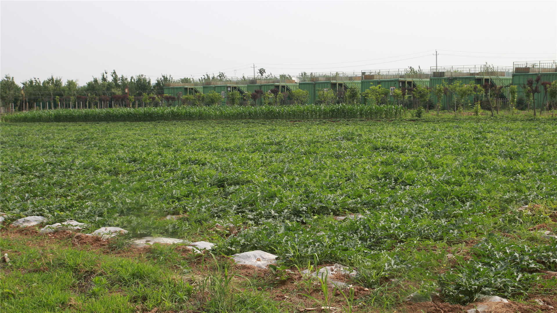 西安南山避暑胜地一日游,西安夏天避暑度假的好去处