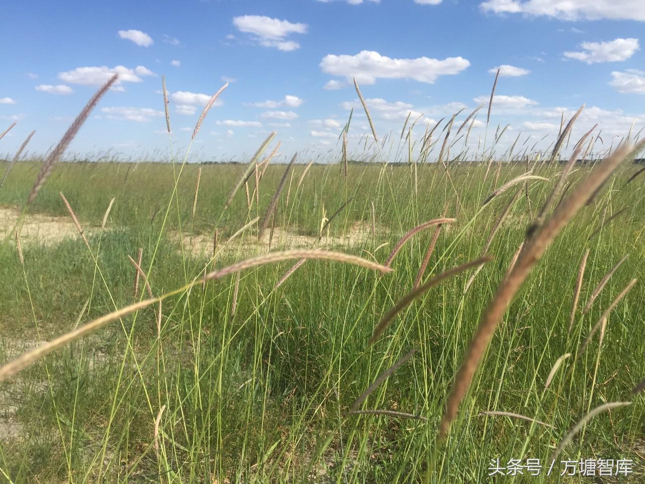通辽市发展历程,一分钟看懂通辽发展