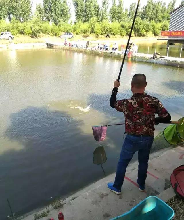 南阳古镇钓鱼比赛冠军,南阳行营钓具