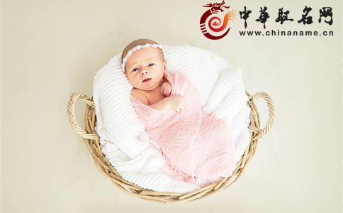 2017鸡用什么名字比较好,聪明大气的鸡宝宝名字