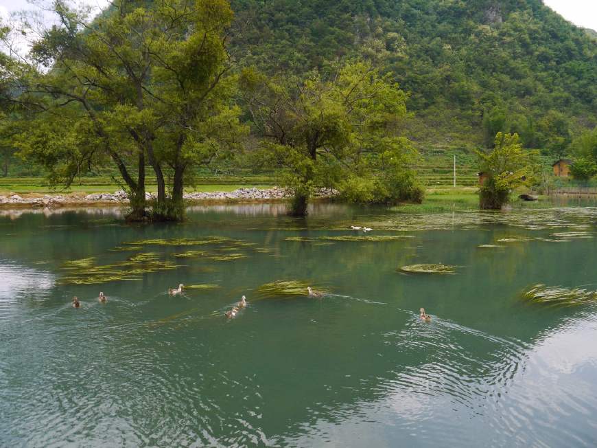 坝美普者黑5日跟团游攻略,坝美普者黑视频