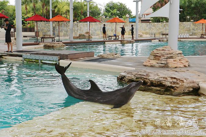 新加坡圣淘沙一日游路线图,新加坡圣淘沙游玩攻略费用
