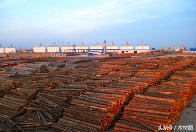 二连木材市场,二连口岸果蔬出口价格