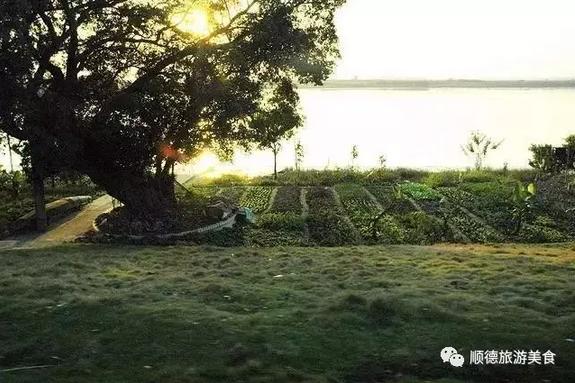 浮在海上的城市,漂浮在海面上的村