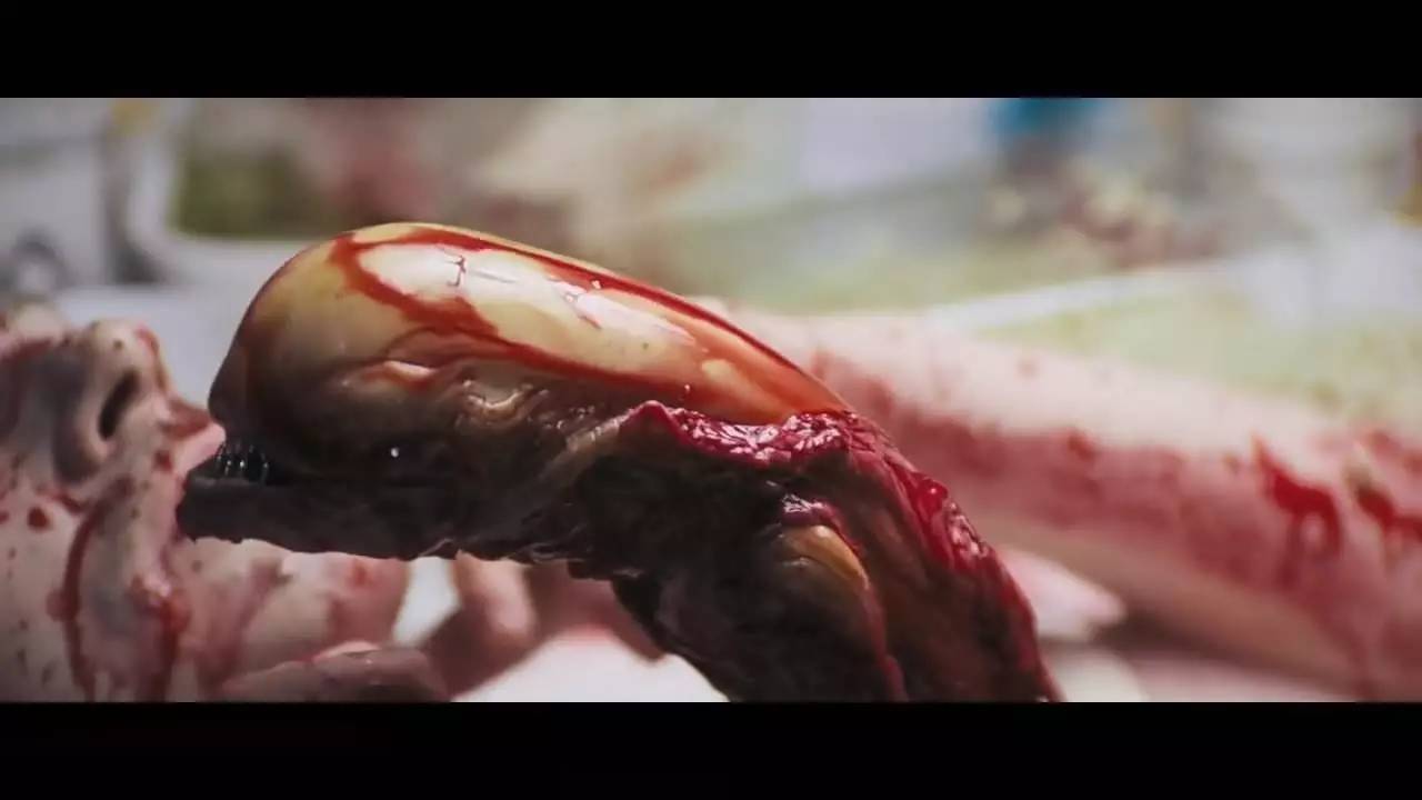 异形契约看完后在看什么,异形契约烂尾深度解读