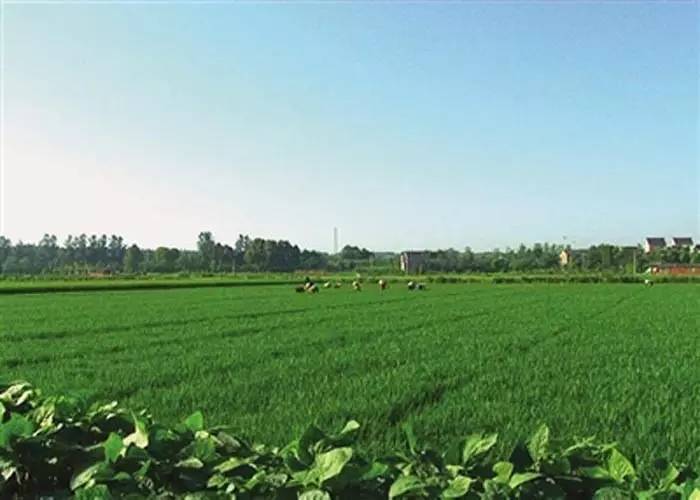 山东临沂最新区划调整批复,国家承认临沂市沂河新区了吗