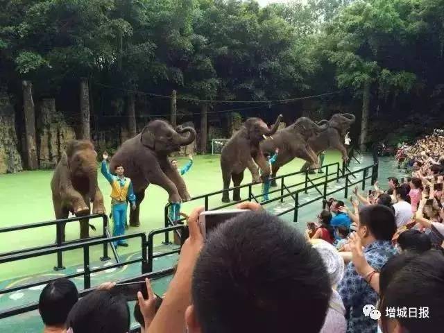增城免费旅游景点攻略,增城必去十大免费景点小白云山