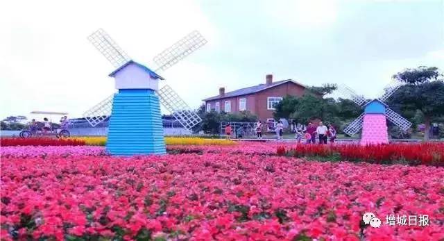 增城免费旅游景点攻略,增城必去十大免费景点小白云山