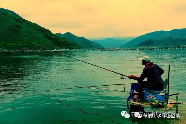 您好！我叫望谟，这是我的新名片~