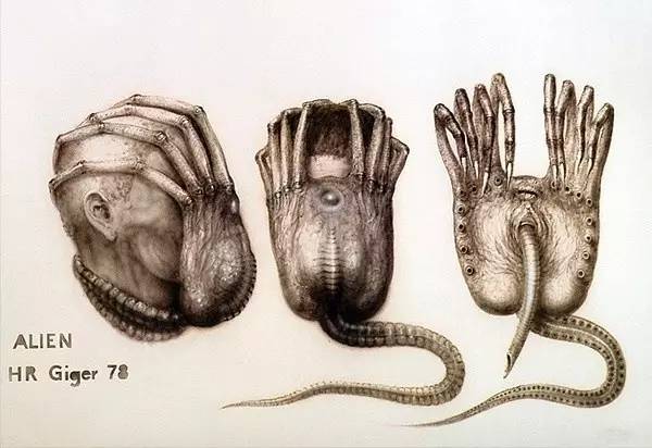 异形契约看完后在看什么,异形契约烂尾深度解读