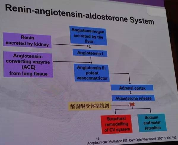 「NCF2017」姜一农：顽固性高血压的药物治疗