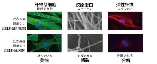 pola防晒真的好用吗,日本pola黑霸防晒多少钱