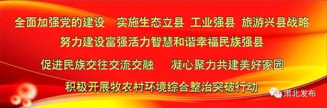 蒙古族正骨医术,河北肃宁正骨