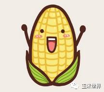 春玉米受冻害怎样补救,天气预报大豆冻害