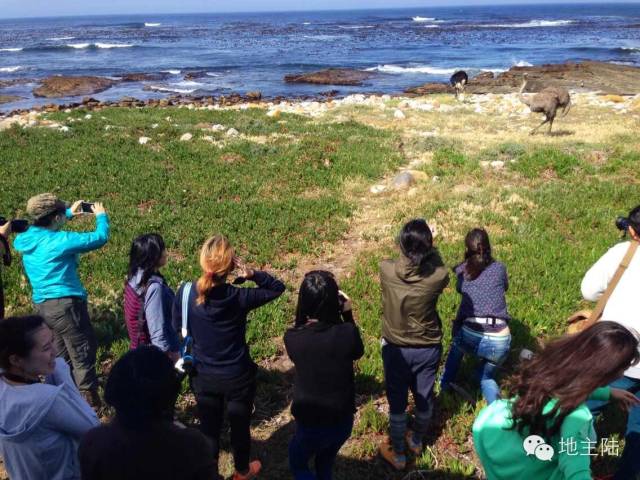 南非旅游照片,从南非回国的人