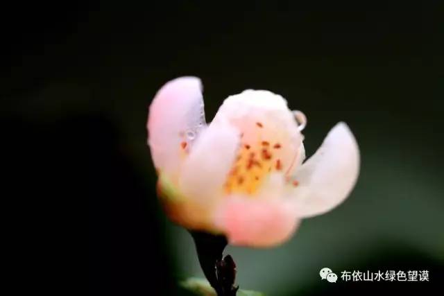 您好！我叫望谟，这是我的新名片~