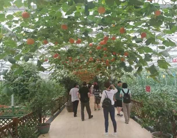 夜班编辑瑞金行｜一路前行一路感动一路收获